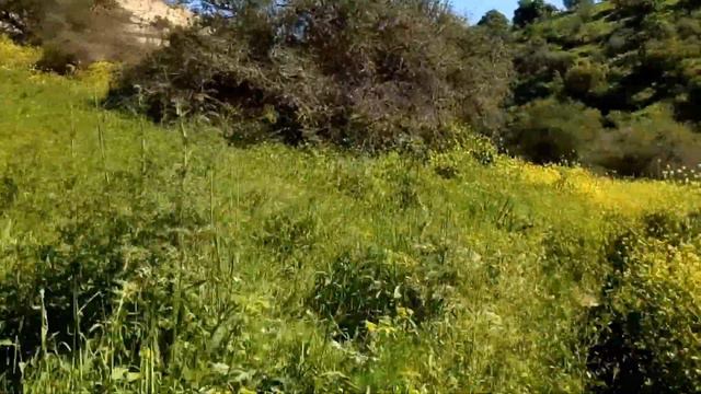 Nahal Amud, Israel hiking смотреть онлайн