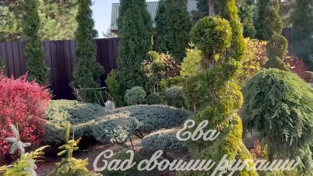 ✅ТОПИАРНЫЙ САД Осень ?ОБЗОР РАСТЕНИЯМ ДЛЯ ТОПИАР смотреть онлайн