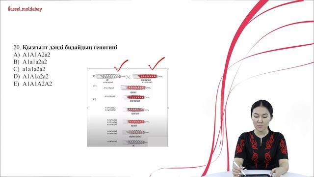 ҰТО ұсынған нұсқаны биология пәнінен талдау смотреть онлайн