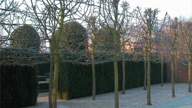 Winter Lecture Series: Arne Maynard, Allt-y-bela смотреть онлайн