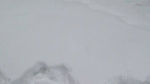 Поездка в архитектурно-этнографический музей-заповедник Лудорвай