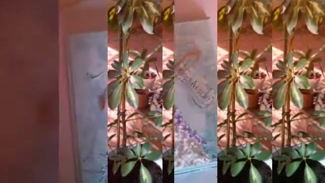 Италия..флоренция.хобби на карантине .. смотреть онлайн