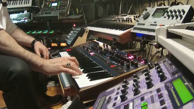 OB6 Looping session, just for fun. смотреть онлайн