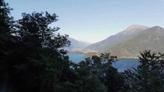 Когда жена рассказала мужу с кем она общается в лесу пока идёт к нему на работу,история удивила муж смотреть онлайн