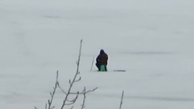 камера PowerShot SX540 HS тест в Архангельске смотреть онлайн