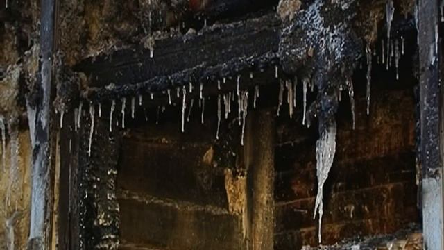 В Парке Дружбы заживо сгорели 4 лошади смотреть онлайн