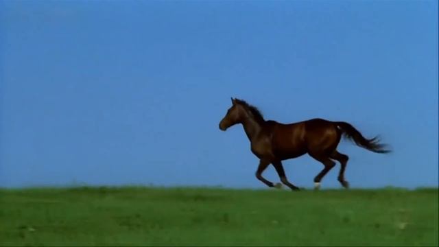 Ворон к ворону. Стихи А.С. Пушкина. смотреть онлайн