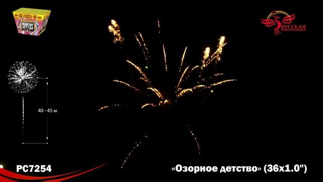 PC 7254.mp4 смотреть онлайн