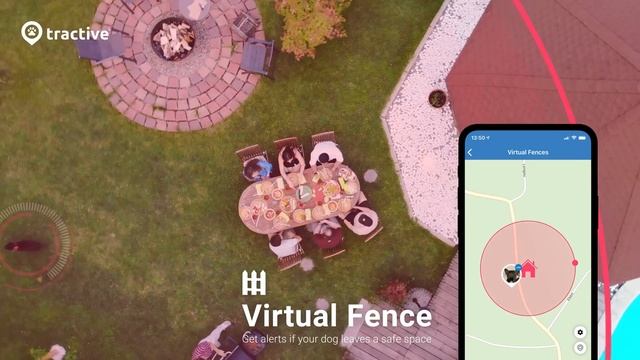 Real-time GPS Tracking for Dogs | Tractive GPS смотреть онлайн