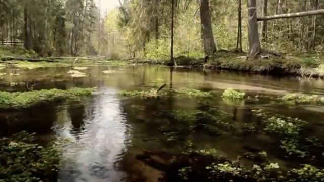 День победы смотреть онлайн