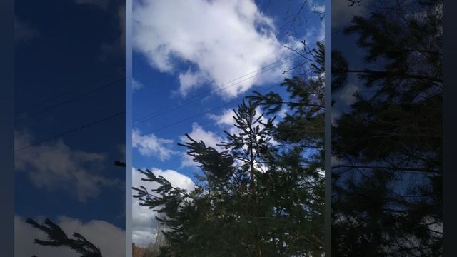 #21марта - Весенний солнцеворот, Вербоносица смотреть онлайн