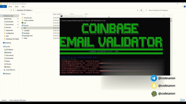 How To Validate Coinbase Email Leads for FREE смотреть онлайн