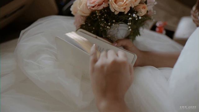 Terence & Jemi Wedding Highlights смотреть онлайн