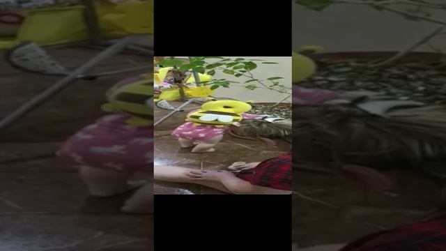 Ай-яй-яй ?