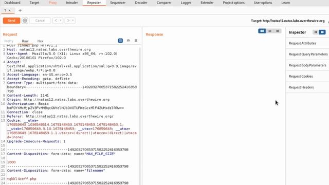 File Upload RCE | Natas: OverTheWire (Level 12) смотреть онлайн
