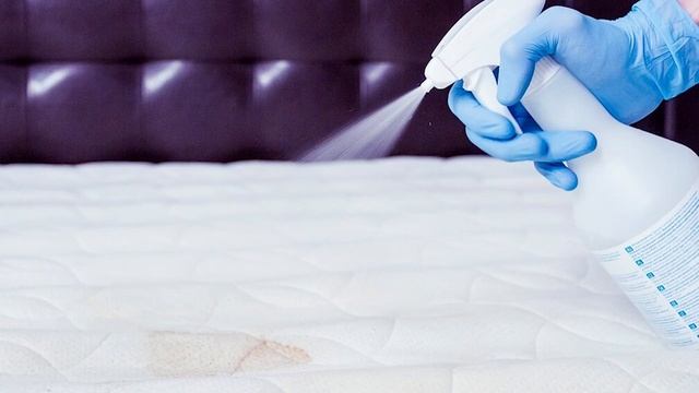 Вы будете в шоке! Чистка матраца - легко! Берите на заметку: понадобиться пена для бритья! Эфект ва смотреть онлайн