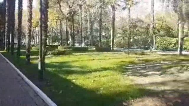 #СОЧИ//ПАРК РИВЬЕРА //ПОГОДА В СЕРЕДИНЕ НОЯБРЯ смотреть онлайн
