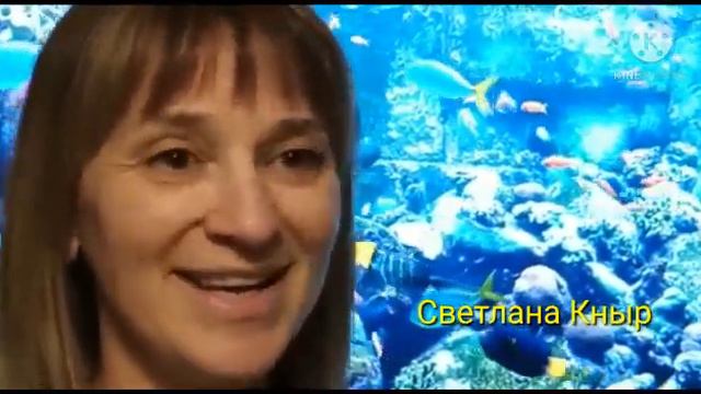 ЛУЧШЕЕ ПОЗДРАВЛЕНИЕ С ДНЁМ РОЖДЕНИЯ🥳 С ДЕНМ РОЖДЕНИЯ МЕНЯ🥳🥳🥳 смотреть онлайн