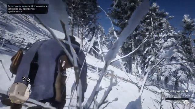 Как объездить и приручить арабского скакуна Red Dead Redemption 2 смотреть онлайн
