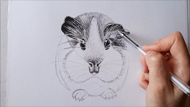 КАК НАРИСОВАТЬ МОРСКУЮ СВИНКУ ГЕЛЕВОЙ РУЧКОЙ!!! РИСУЮ МОРСКУЮ СВИНКУ.Drawing gel pen. смотреть онлайн