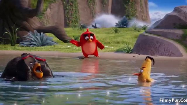 ANGRY BIRD MOVIE BEST SCENE { IN HINDI } смотреть онлайн