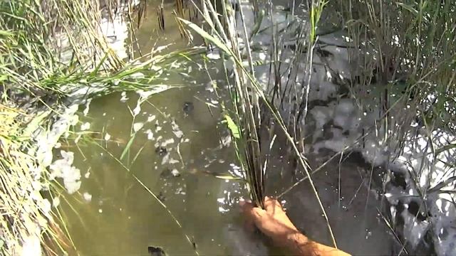 УЕЛГИ ловля КАРАСЯ в жару (конец августа) смотреть онлайн