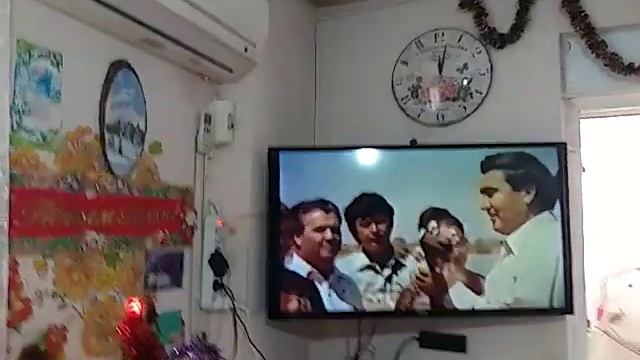Воскресный обед эмигранта туркмена в Анталии !Жареные печень и почки куриные в томатах и в майонезе смотреть онлайн