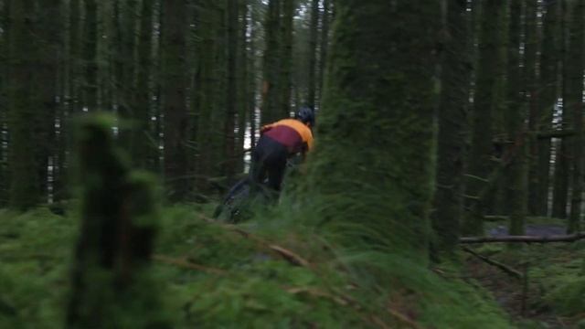 GT Aggressor Expert 29 Hardtail Bike 2021: First Look | CRC |