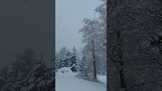 LAKE TAHOE | НОВОГОДНЕЕ УТРО | ОЗЕРО ТАХО смотреть онлайн