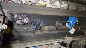 Сортировка цветных пленок из смешанного потока на оптическом сепараторе «Невлабс»