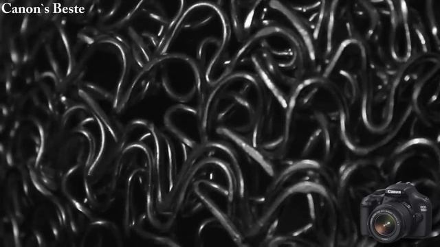 CANON EOS 1100D VIDEO FOCUS TEST смотреть онлайн