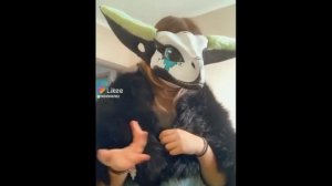 рапторы и фурри / из лайка/ хз какая часть, но она наверное последняя