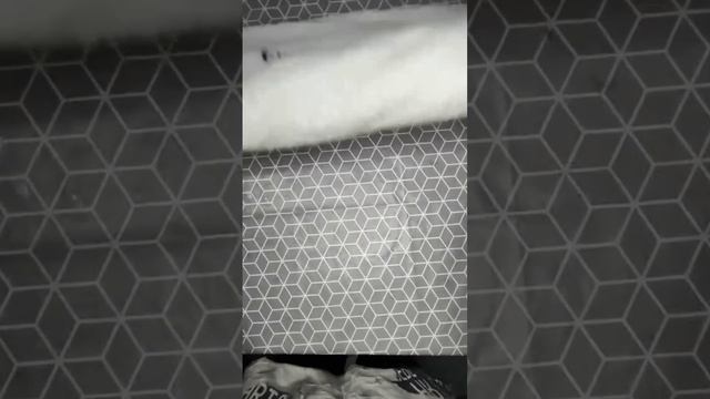 машиннаявышивка