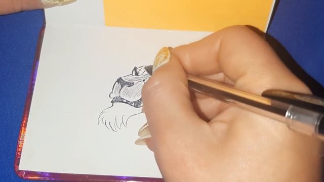 Рисуем льва ручкой #мастеркласспорисованию #sketch #наброски смотреть онлайн