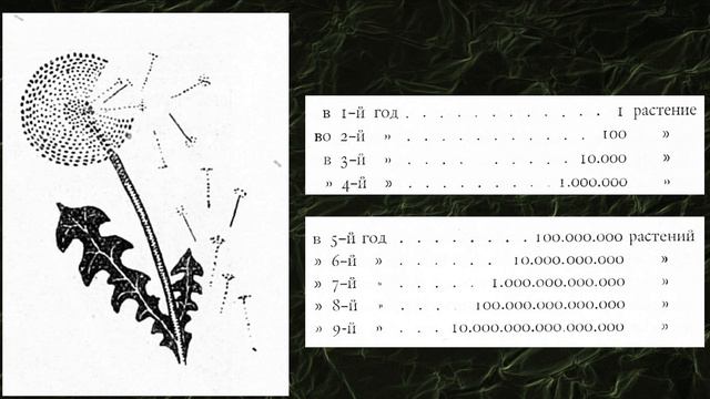 Я. И. Перельман "Быстрое размножение" смотреть онлайн