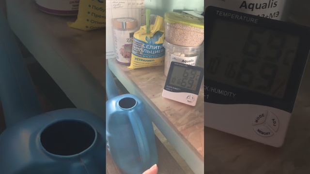 Полезные или не очень покупки 🌺🚰заключение сделаю после использования🤗 смотреть онлайн