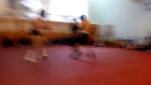 чемпионат Черкаской области по ММА смотреть онлайн