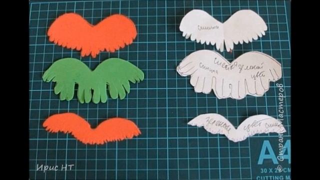 ПОПУГАЙ ИЗ ФОАМИРАНА,процесс От ИРИС НТ смотреть онлайн