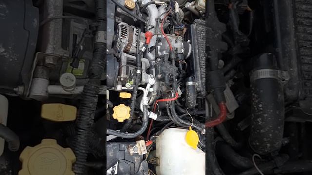 Субару стук двигателя Ej205 турбо