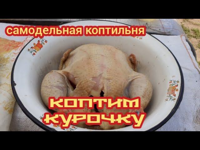 в самодельной коптильне коптим курочку.... смотреть онлайн