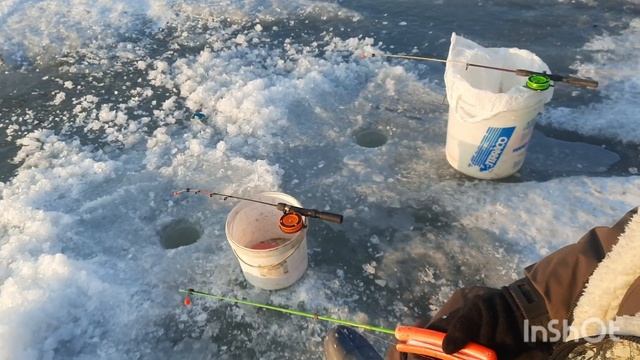 Рыбалка на Амурском заливе. День селедки. смотреть онлайн