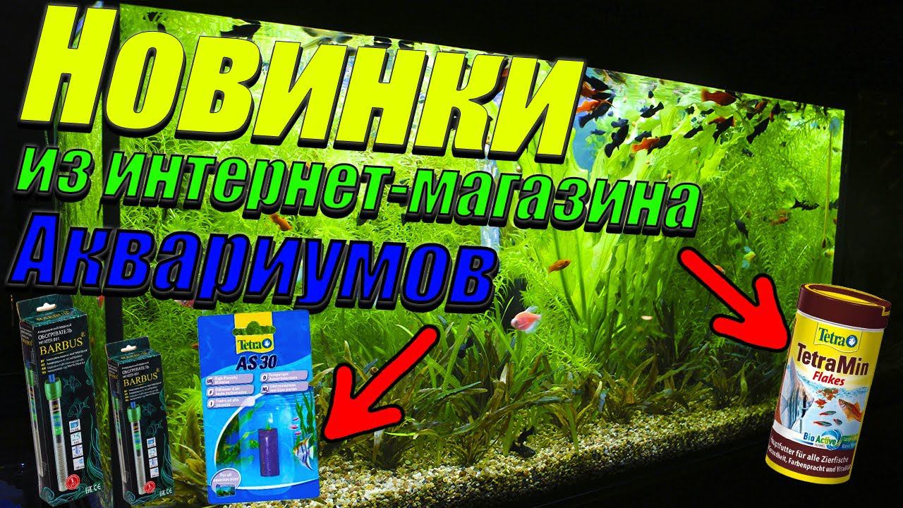 Новинки из интернет-магазина аквариумов! [Новинки на разводне аквариумных рыбок] смотреть онлайн