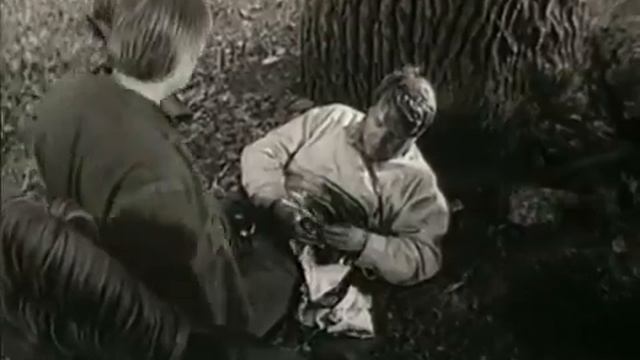 Адъютант его превосходительства, отрывок из к\ф