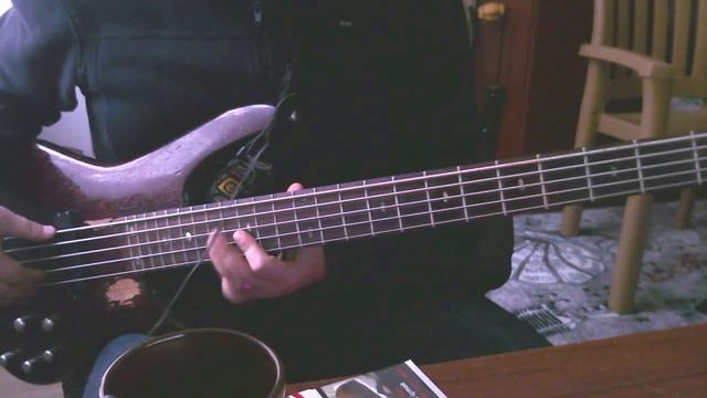 Logitech c510 guitar/bass recording (Sr-505, gt-10b) смотреть онлайн