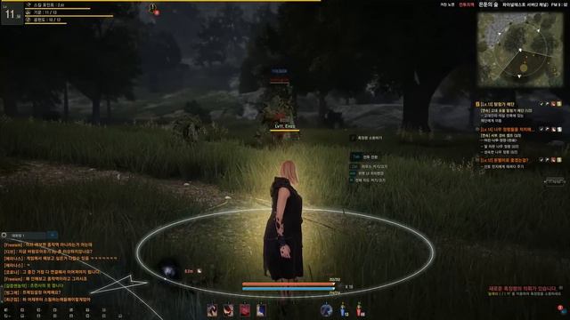 Black Desert: Sorceress Combat Gameplay смотреть онлайн