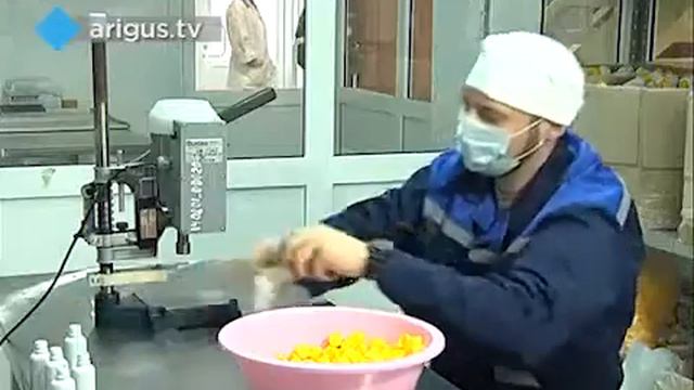 Биофабрика ЭМ ЦЕНТР Аригус смотреть онлайн
