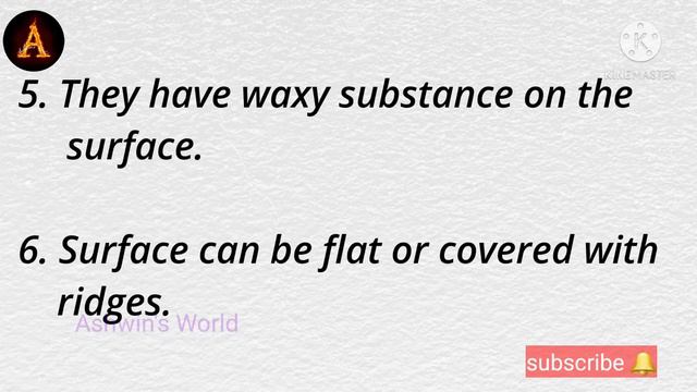 10 Lines on Cactus 🌵 in English!! Information on Cactus!! Ashwin's World смотреть онлайн