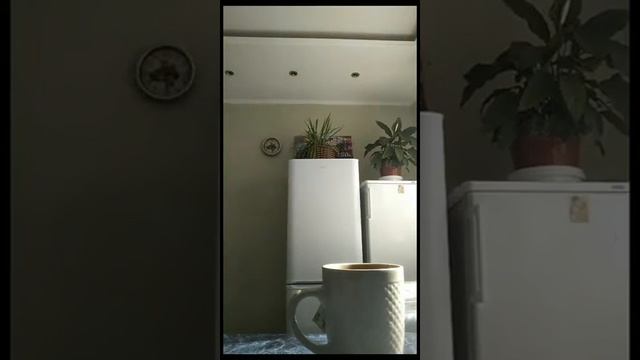 Учебник по Творчеству