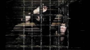 3 Doors Down - She don't want the world