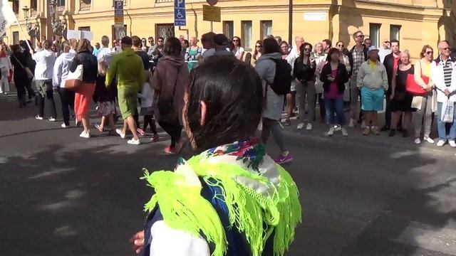 Национальный День в Швеции 2016 смотреть онлайн